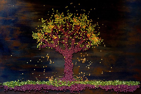 Quels sont les bienfaits de l'alimentation basée sur les plantes pour la prévention des maladies cardiaques ?